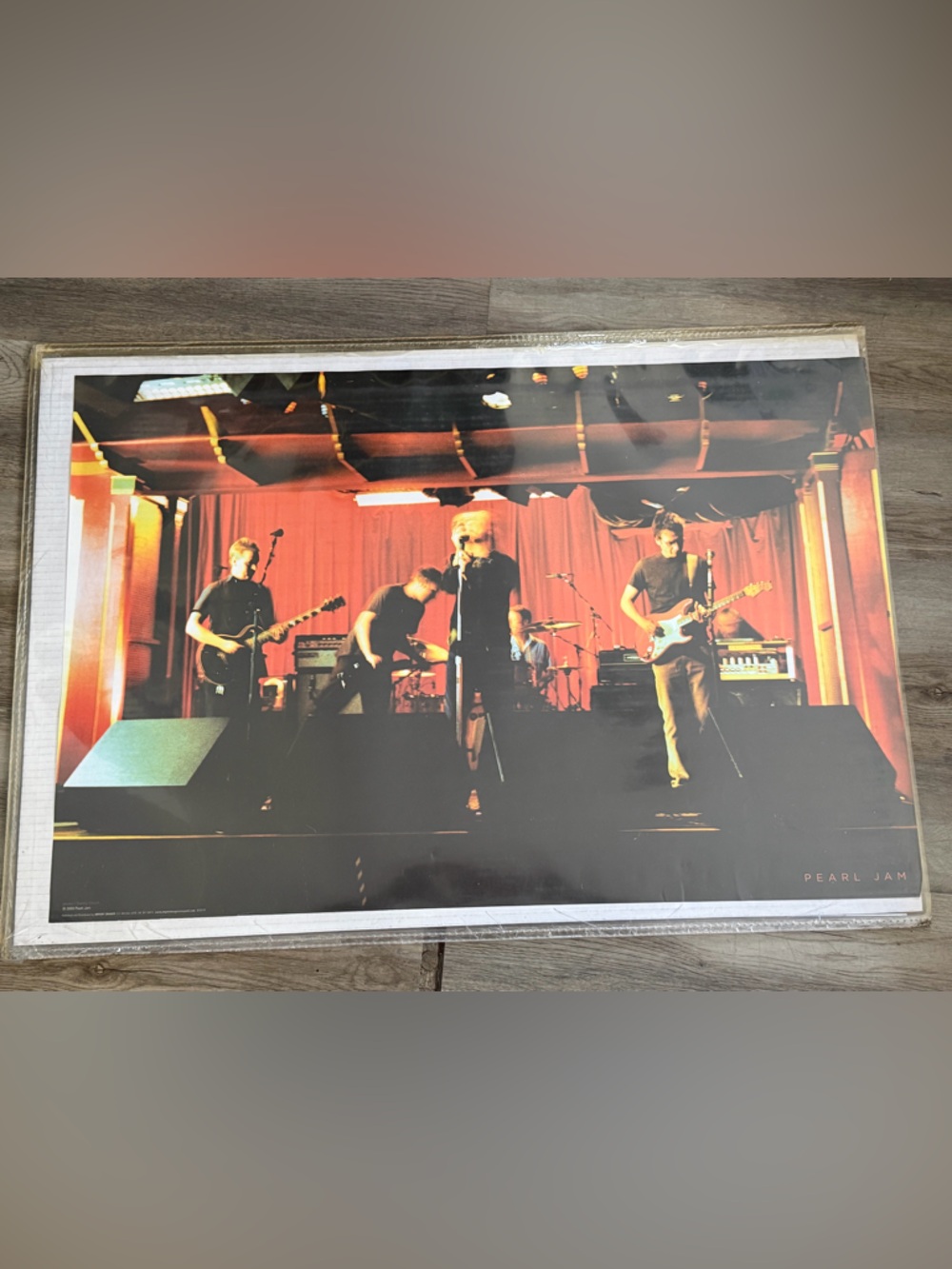 Vintage Pearl Jam 2003 Danny Clinch Riot Act Tour Photo Poster 24x36